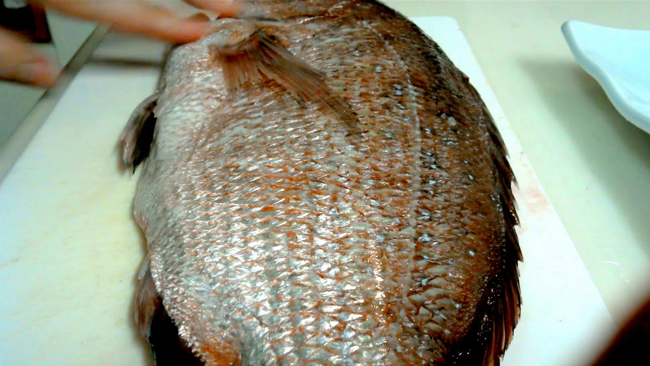 youtube初投稿動画 鯛片身を素人がお造りに挑戦  how  to  red  sea  bream 　make  sasimi