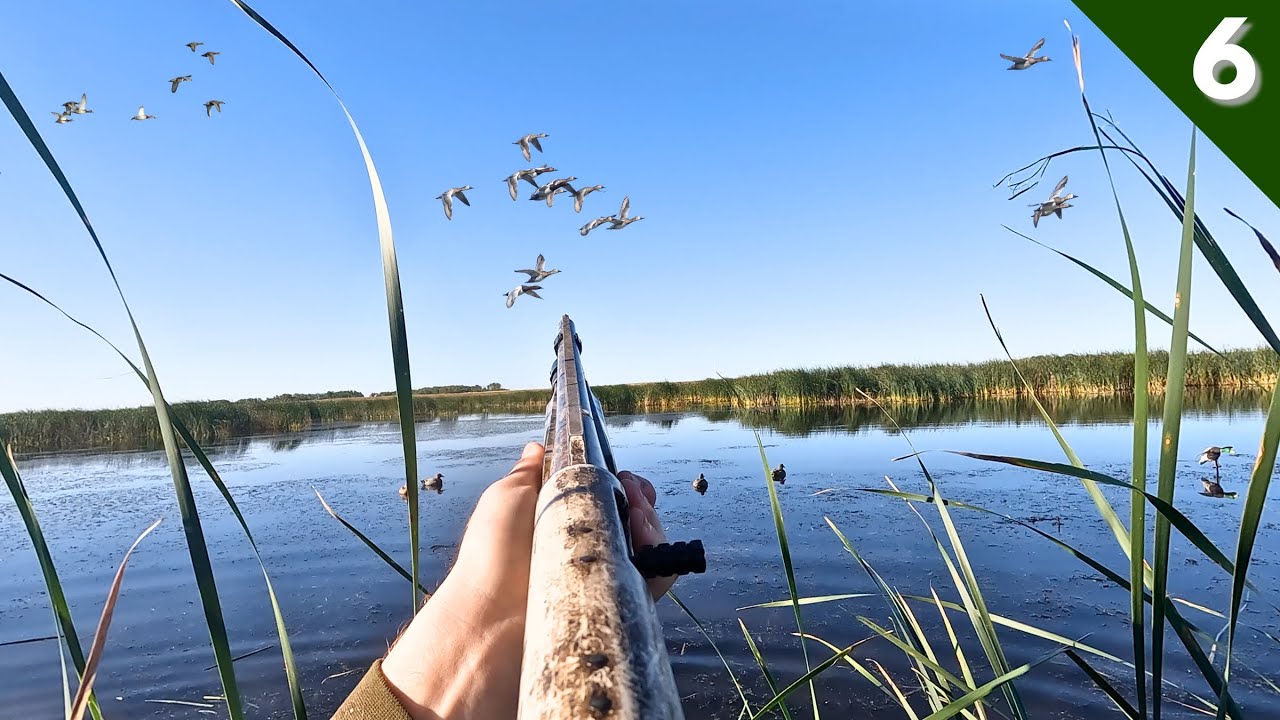 Crazy MIXED BAG In A HIDDEN MARSH (Limited Out) | Duck Hunting 2025