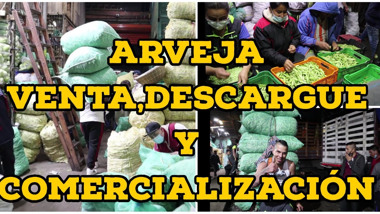 Venta, descargue y comercialización arveja