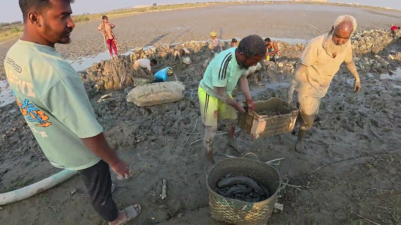 দু হাত ভরে মাছ ধরা I GPD #vlog #fishinglife #farmer #village #fishing #fishinglife #rurallife #trend