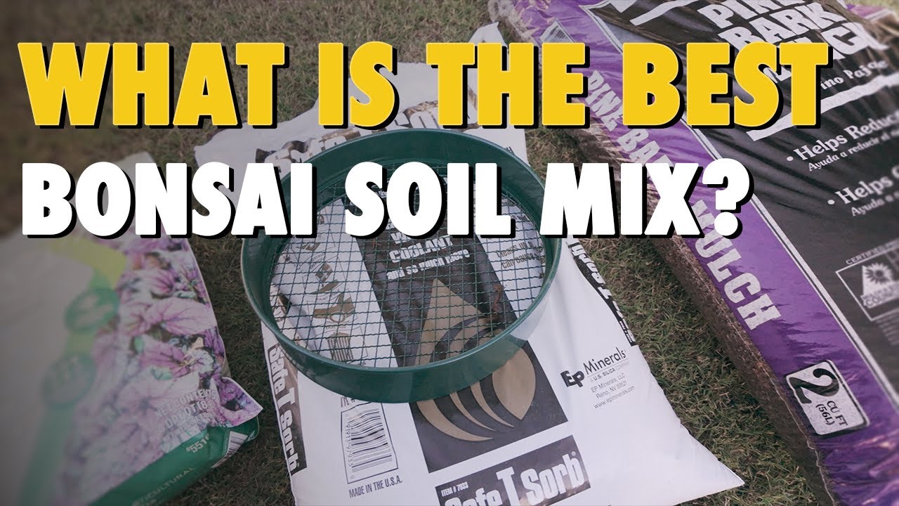 The Bonsai Soil Mix I Trust with Easy and Affordable Ingredients