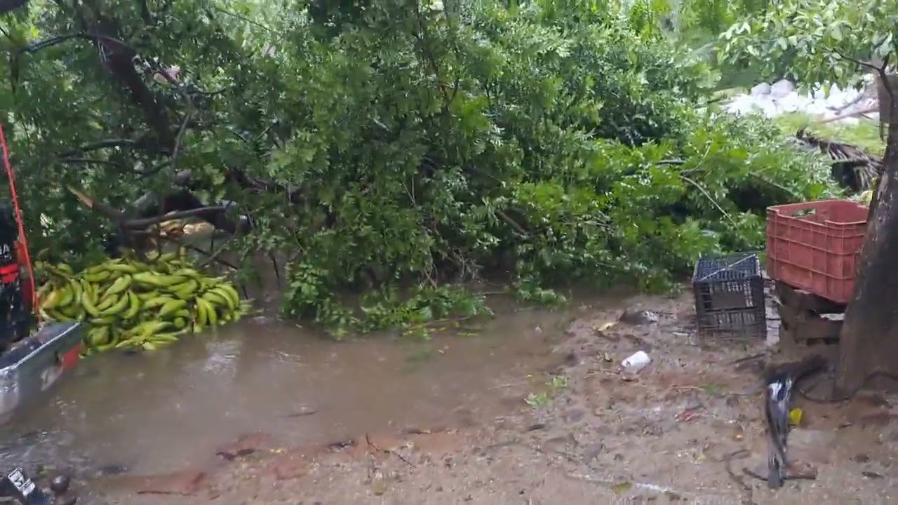 otras vez nos inundamos por las fuertes lluvias🏊🚣