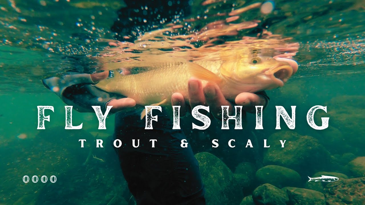 Fly Fishing in the Drakensberg