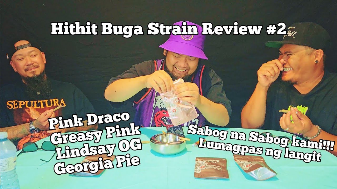 Hithit Buga Strain Review #2 - Pink Draco - Greasy Pink - Lindsay OG - Georgia Pie - Bulldogg