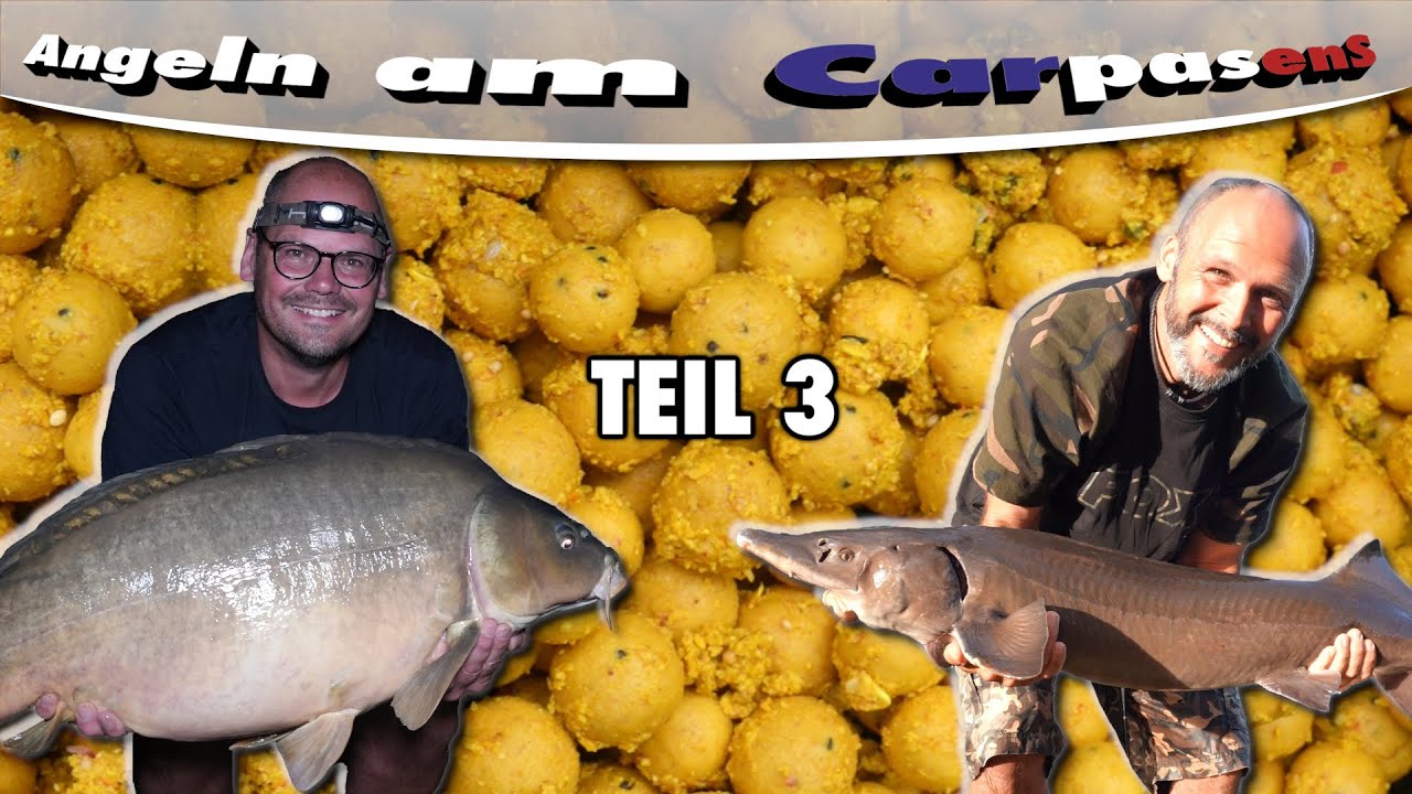 🔥🎣 Carpasens - das große Finale mit Störfaktor - Teil 3