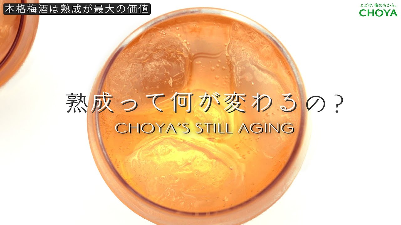【CHOYA】梅酒には熟成が命。CHOYAのスティルエイジングとは? #チョーヤ梅酒 #熟成 #梅酒 #21
