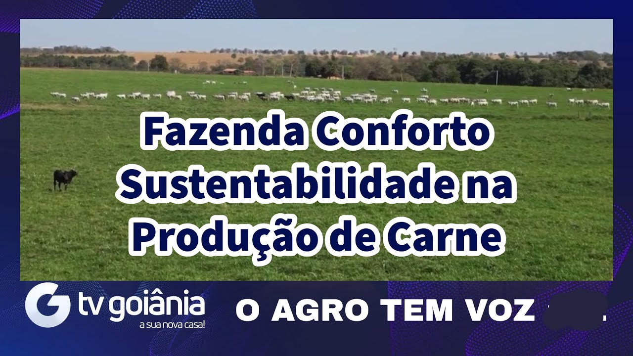 Fazenda Conforto : Sustentável na produção de carne @oagrotemvoz