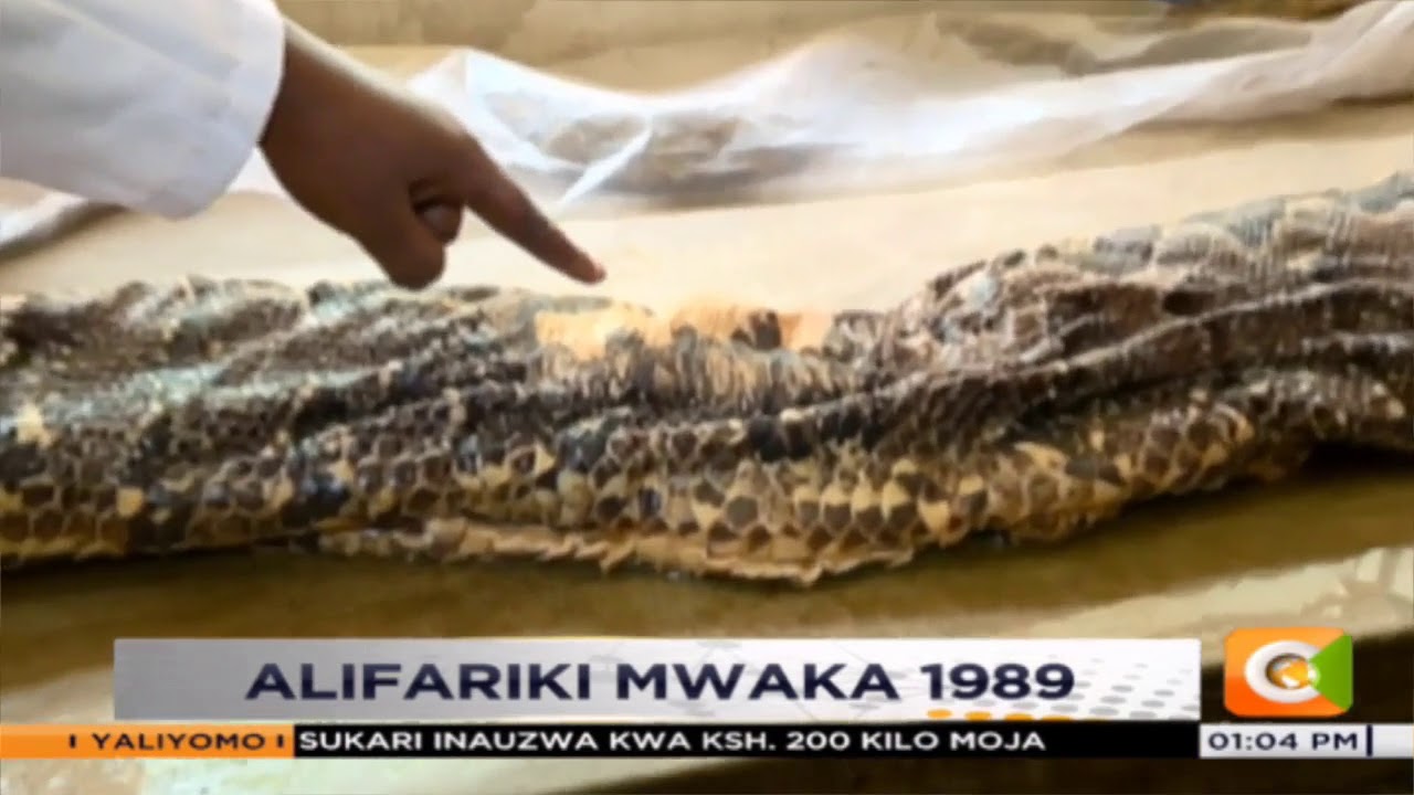 Omieri, nyoka alielindwa kama mgeni, Nyakach #SemaNaCitizen
