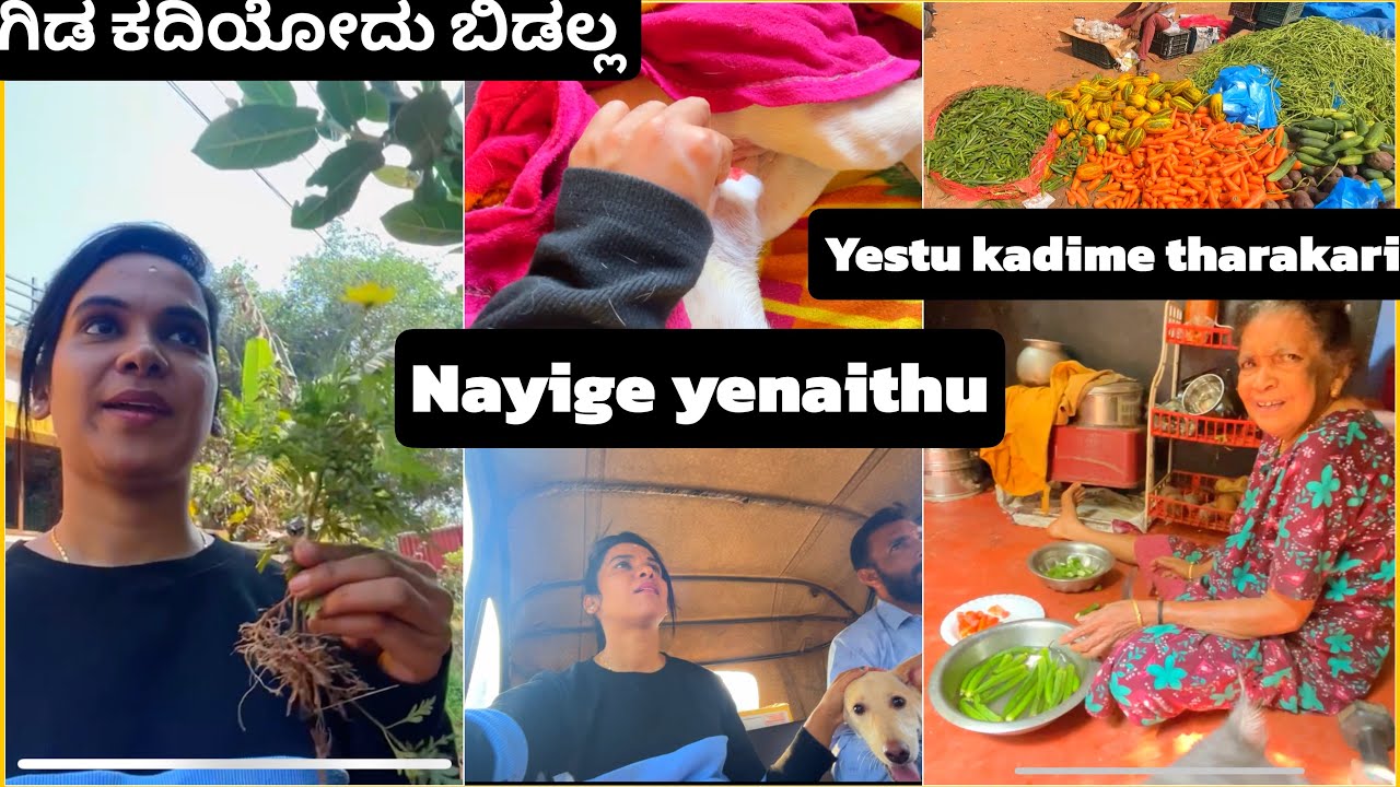 ನಾನು ಇಲ್ಲಾಂದ್ರೆ ಅಮ್ಮ ಏನಾದ್ರು ಒಂದು ಮಾಡ್ತಾರೆ | #vlogs 