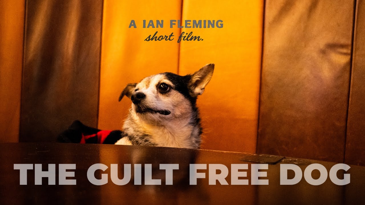 The Art of Doing Nothing (According to My Dog)