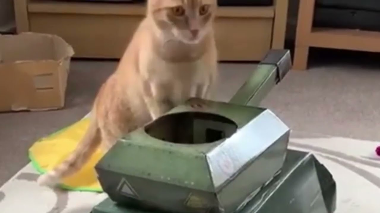 It’s a tank?!?