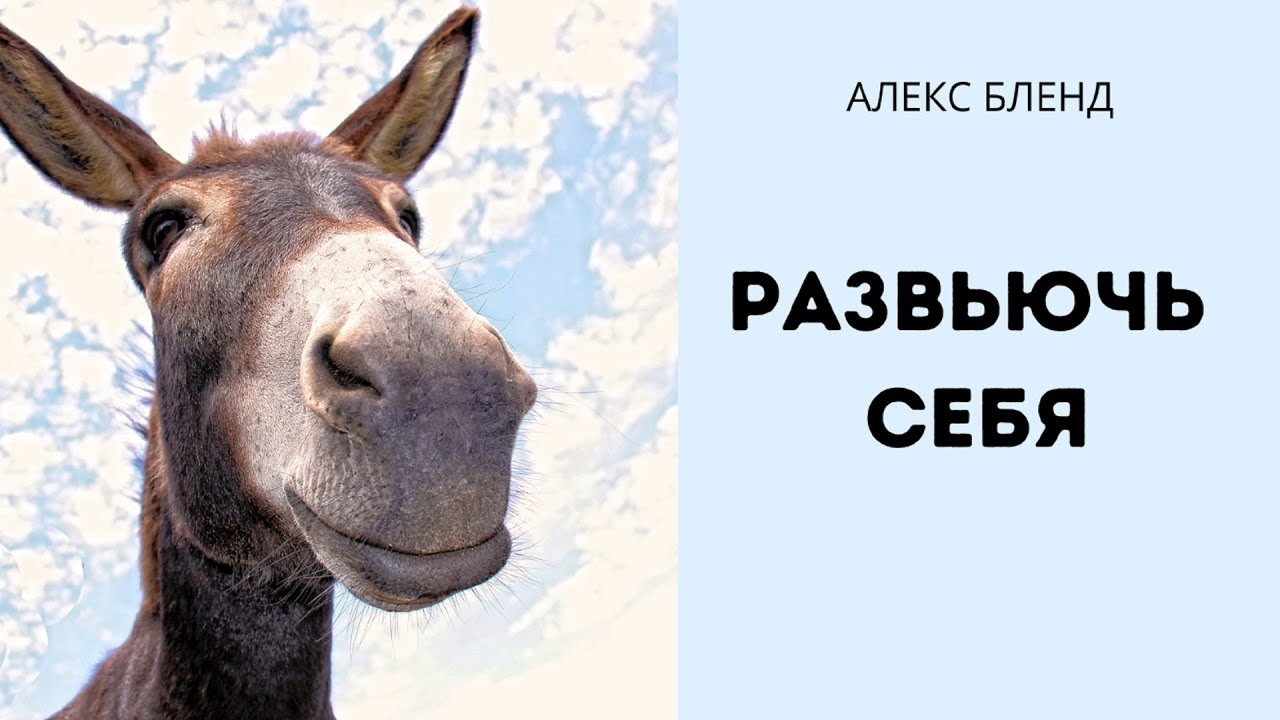 Недельная глава Мишпатим. Развьючь себя. Шемот (Исход) 23:5.