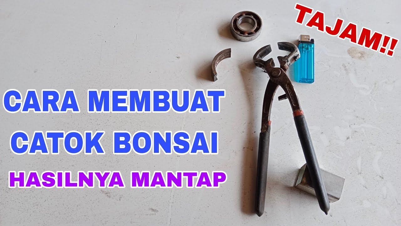 CARA MEMBUAT CATOK BONSAI | TAJAM | SEKUAT BAJA | VIRAL!!!