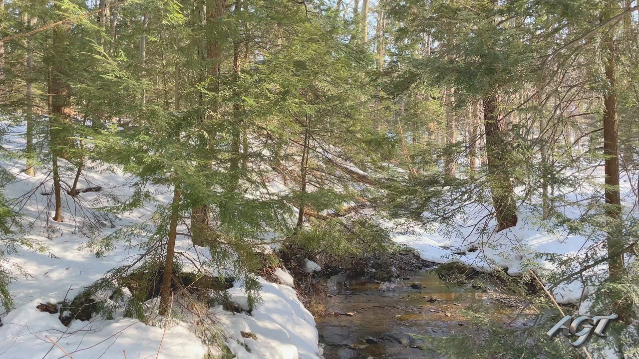 Classical Music 4K Dolby Vision HDR Winter Landscape (Grieg, Beethoven, Strauss, Tchaikovsky)