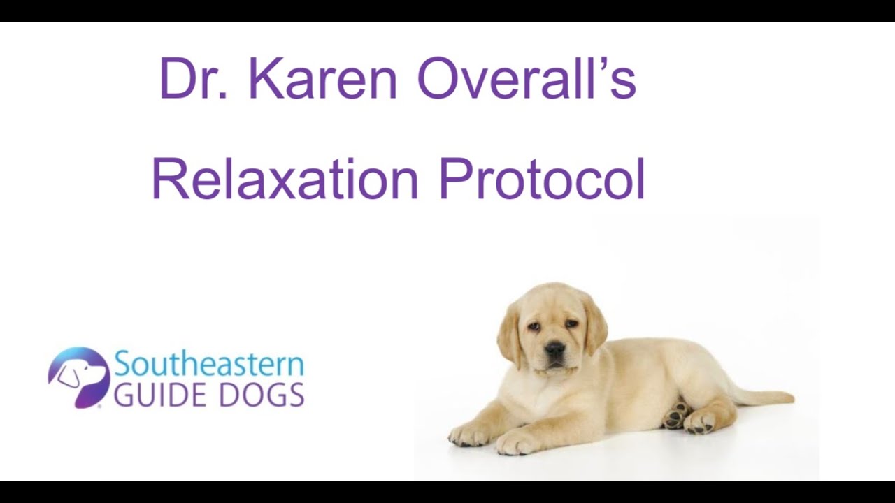 Relaxation Protocol Day 3