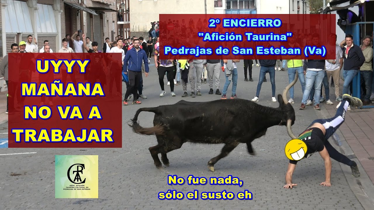 Pedrajas De San Esteban (Va) 2º Encierro 