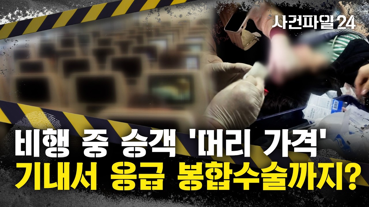 [사건파일24] 머리채 잡고 볼 깨물고 여객기에서 다른 승객 '퍽'···앞좌석 승객 폭행한 이유?