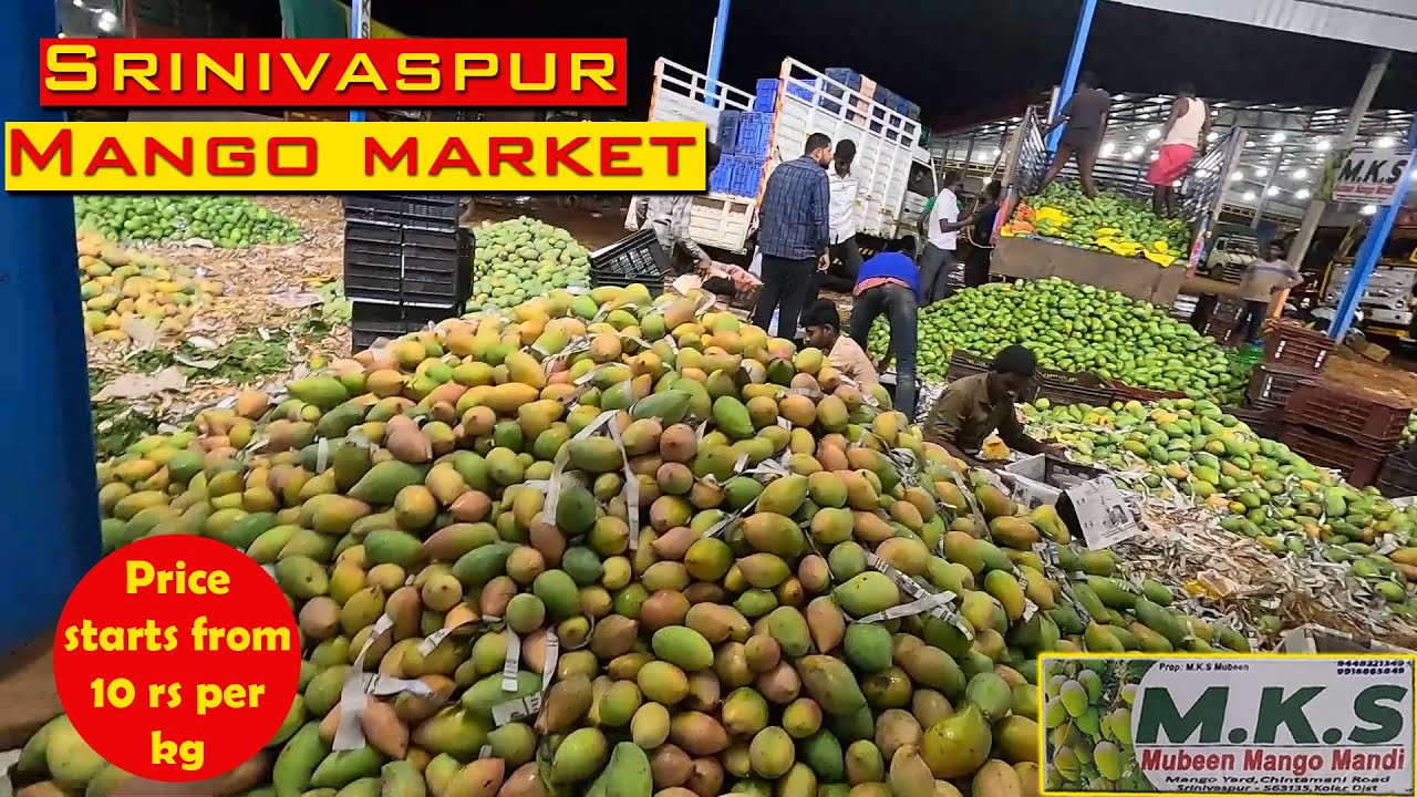 Srinivaspur mundy. The most famous mango market in INDIA
