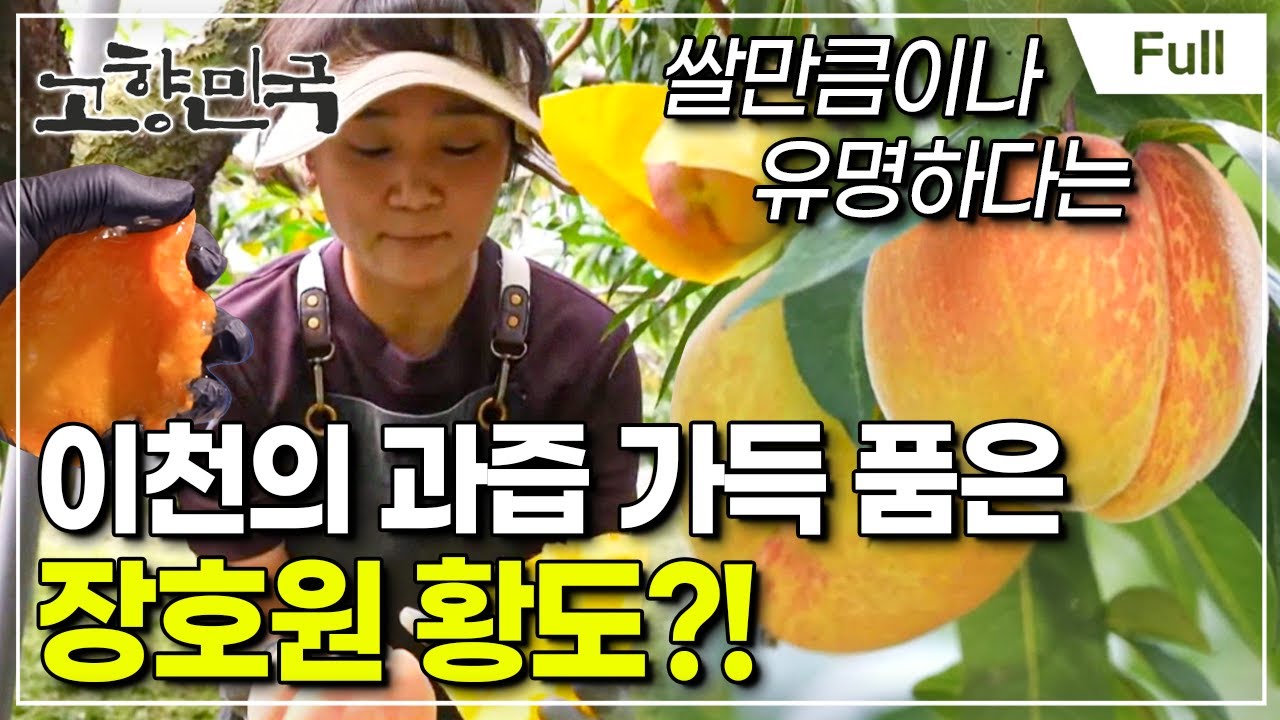 [Full] 고향민국 - 이천, 복숭아와 달콤한 인생
