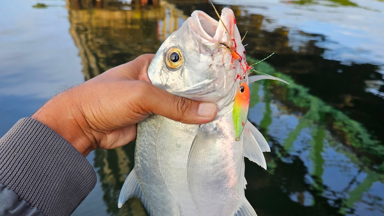 TEST METALJIG 15GR HANDMADE LANGSUNG DIHAJAR PREDATOR MUARA