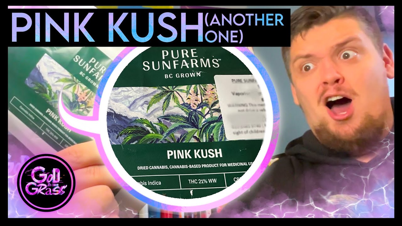 Pure Sunfarms Pink Kush - Medical Cannabis 🌱 Review