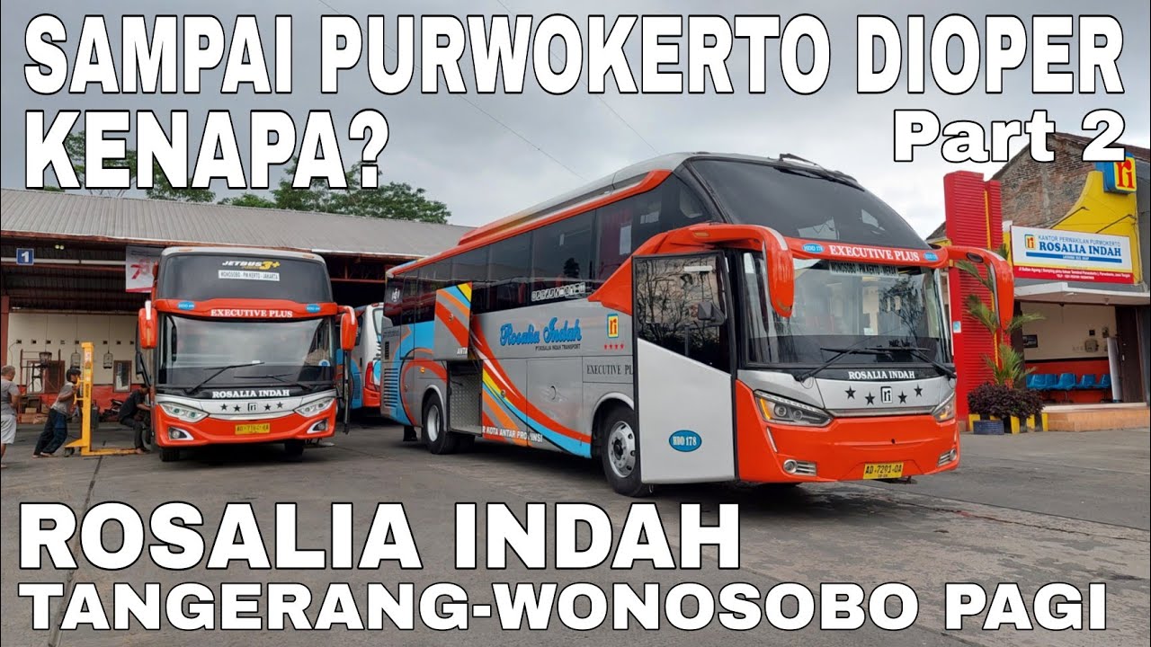 Part 2‼️Rosalia Indah Tangerang-Wonosobo Pagi‼️Naiknya Mercy Turunnya Hino, Kok Bisa?