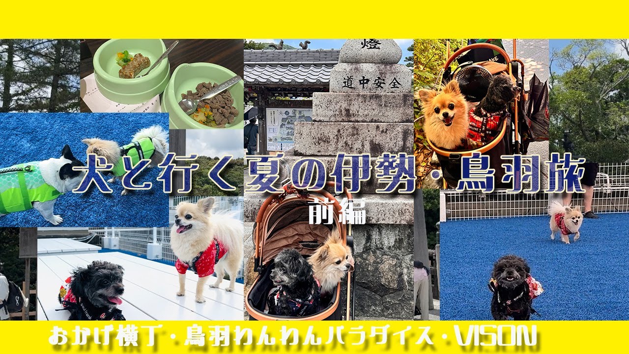 【犬と夏の三重旅行】前編 おかげ犬になってお泊りホテルでプールに入りましたやで！【鳥羽わんわんパラダイス】【おかげ横丁】【vison】【伊勢志摩】