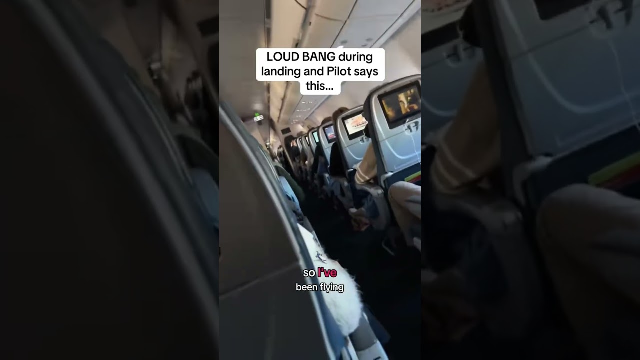 Umm what did the pilot just say??#aviation #pilot #announcement #avgeek