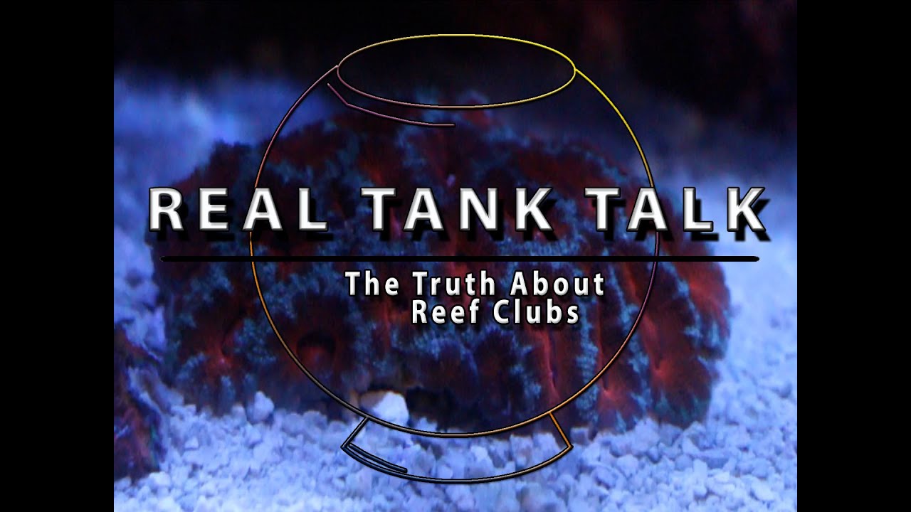 The Truth about Reef Clubs w/Rich Nelson