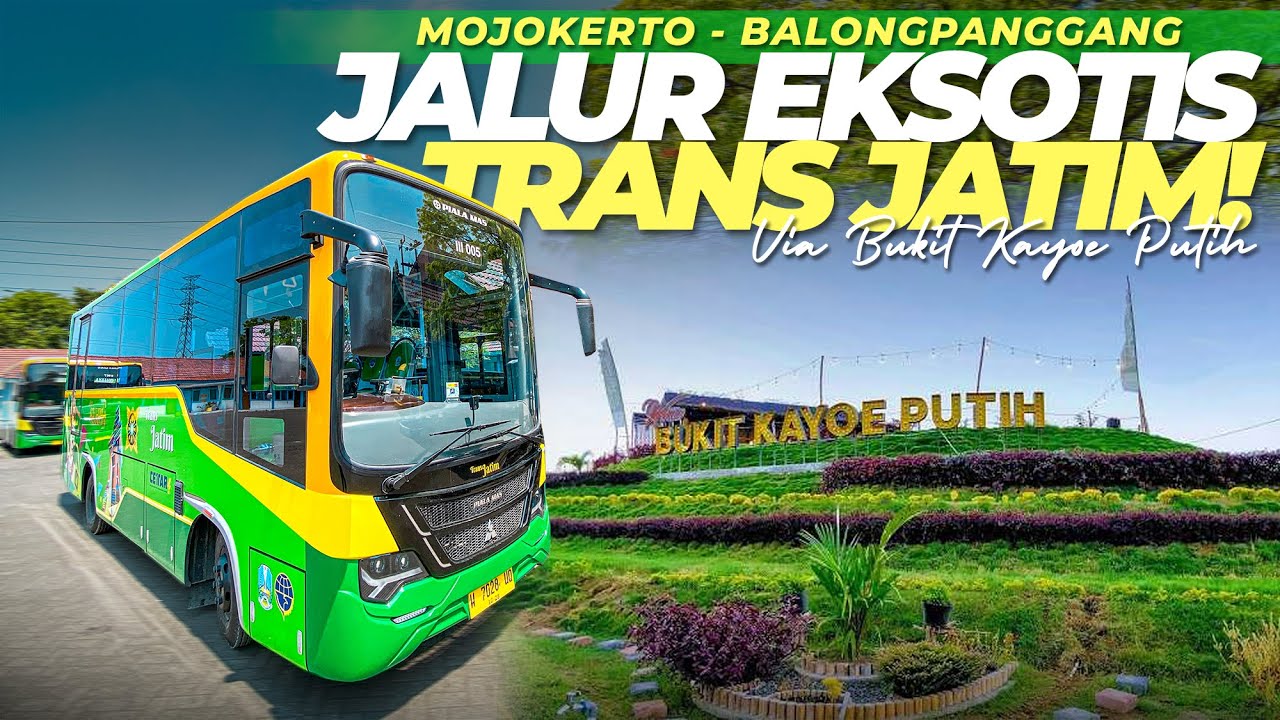 JALUR GAK MASUK AKAL, BLUSUKAN TENGAH HUTAN! Naik Bus Transjatim Mojokerto-Balongpanggang Gresik