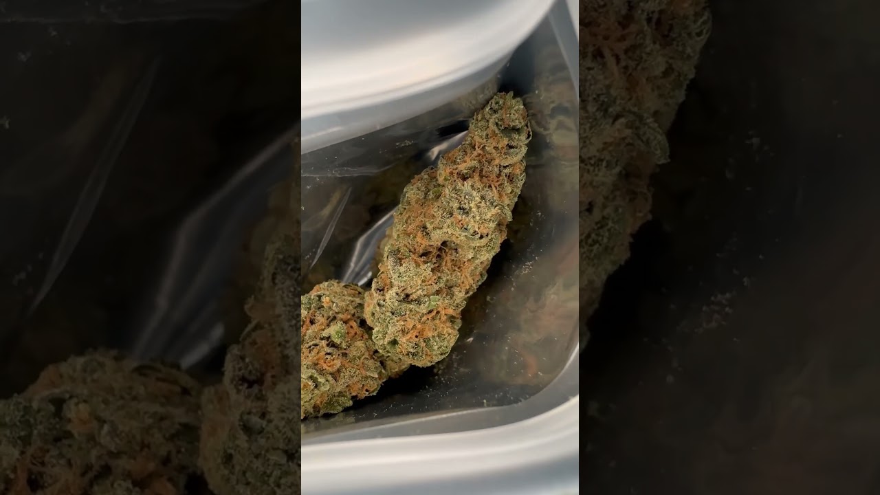 Follow on IG!!!#nothingforsale#growingtips #cannabiseducation #cannabisculture #highsocietycannabis