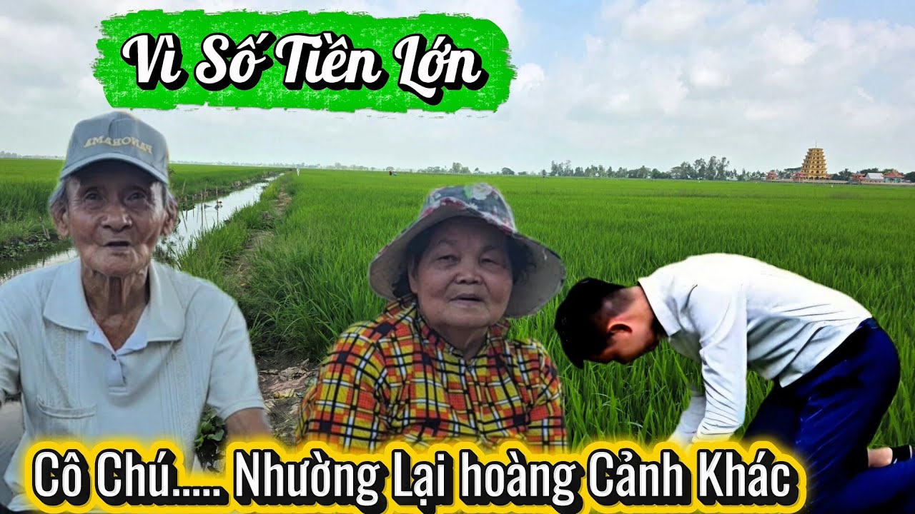 Ứa Lệ.Vợ Chồng Bị 5 Đứa Con Bỏ Rơi Nay làm Đều Này Chủ Kênh Bói Gói 