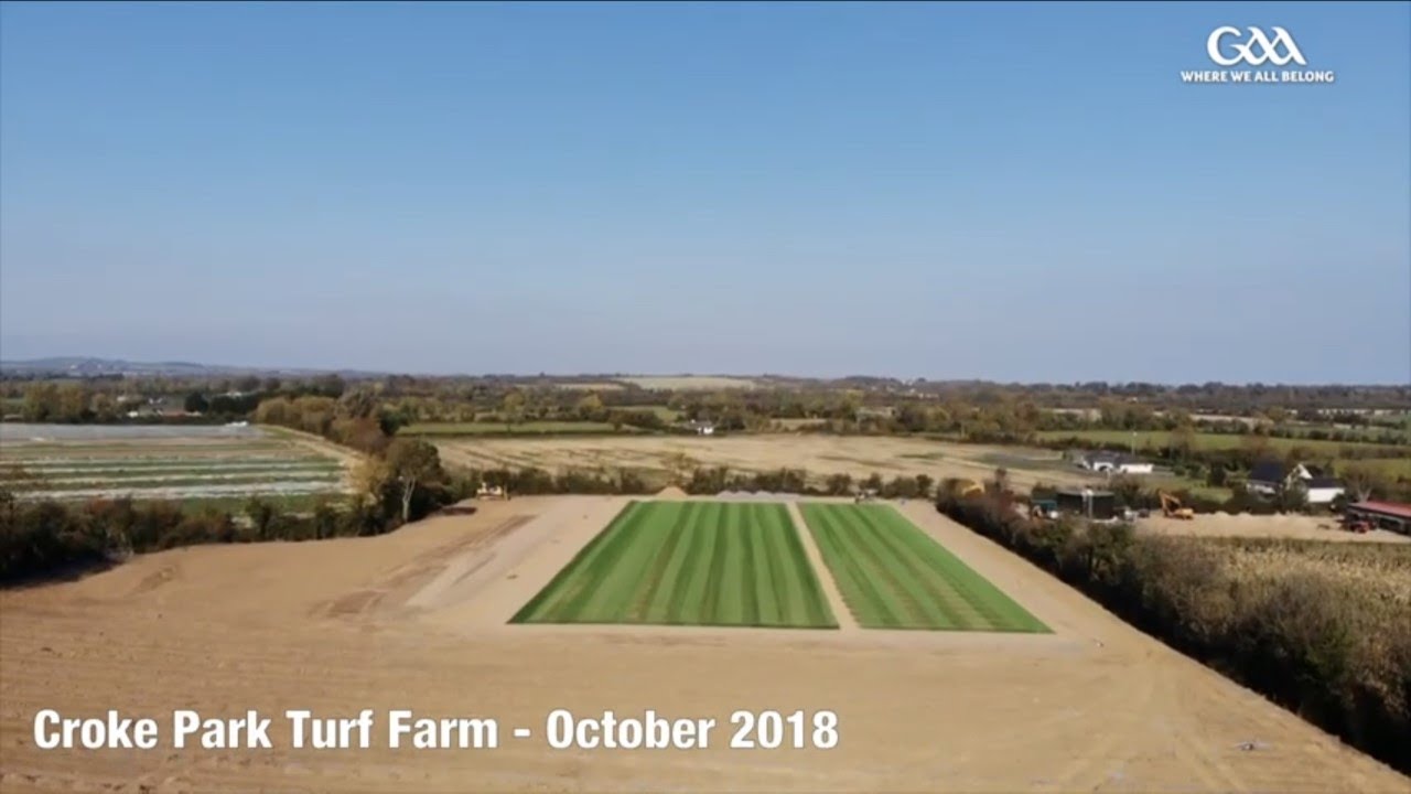 Croke Park Turf Farm - From seed to harvest