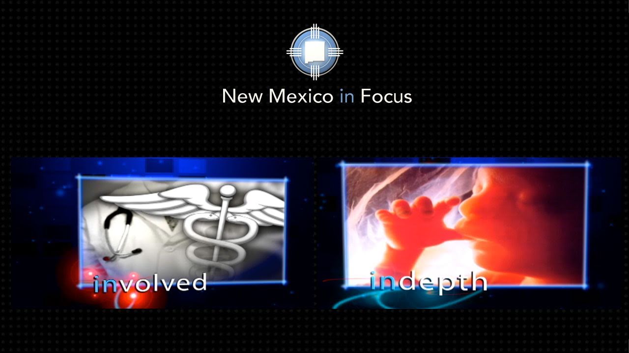 IN FOCUS: Singe Payer - Interview with Dr. Margaret Flowers (2011-05-20)