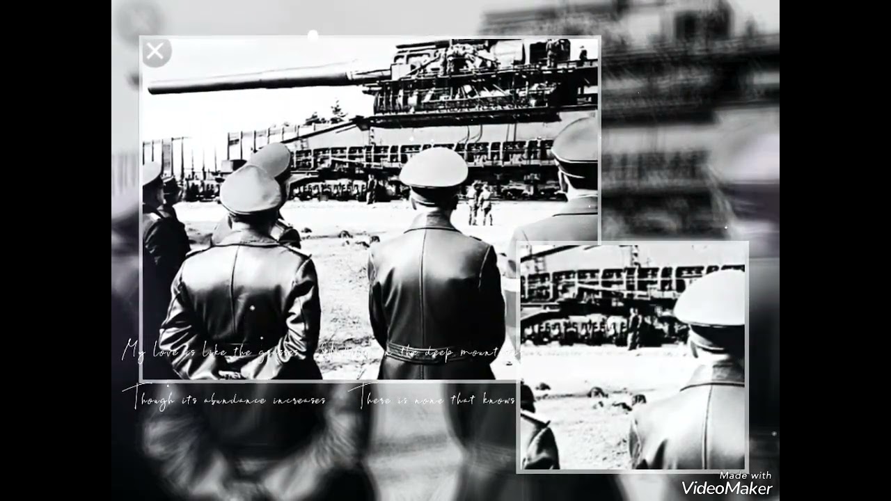 Zodo-Gang_machine_machine_de_guerre