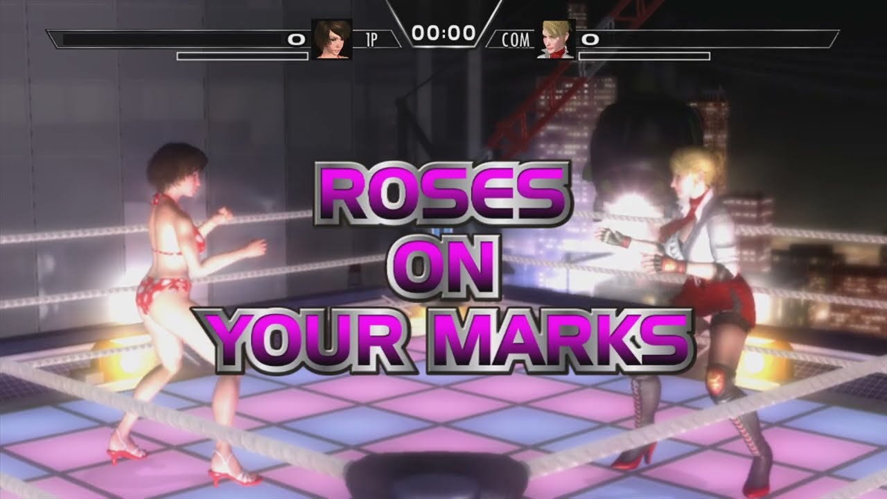 Rumble Roses XX Battle342