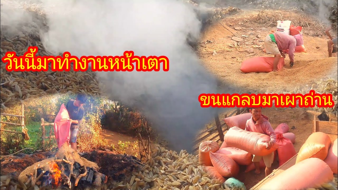 วันนี้มาขนแกลบขึ้นเตาเผ่าถ่าน16กุมภาพัธ์2026