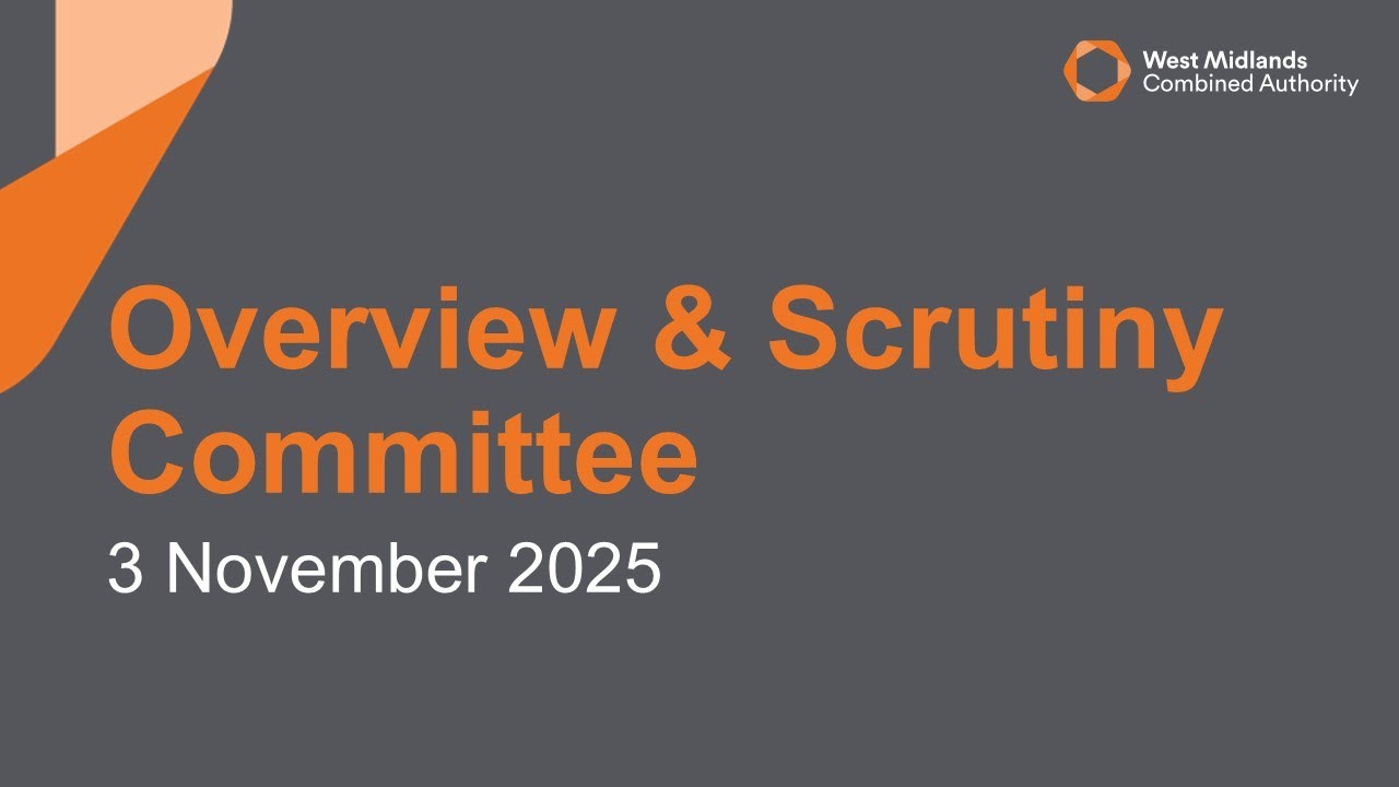 Overview & Scrutiny Committee - 3 November 2025