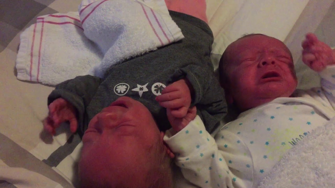 Hungry Twins