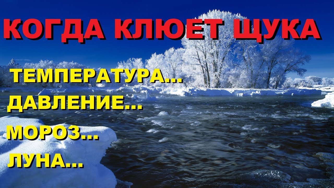Доказано В КАКУЮ погоду ЛУЧШЕ КЛЮЁТ ЩУКА зимой и при каком ДАВЛЕНИИ! SeMano TV