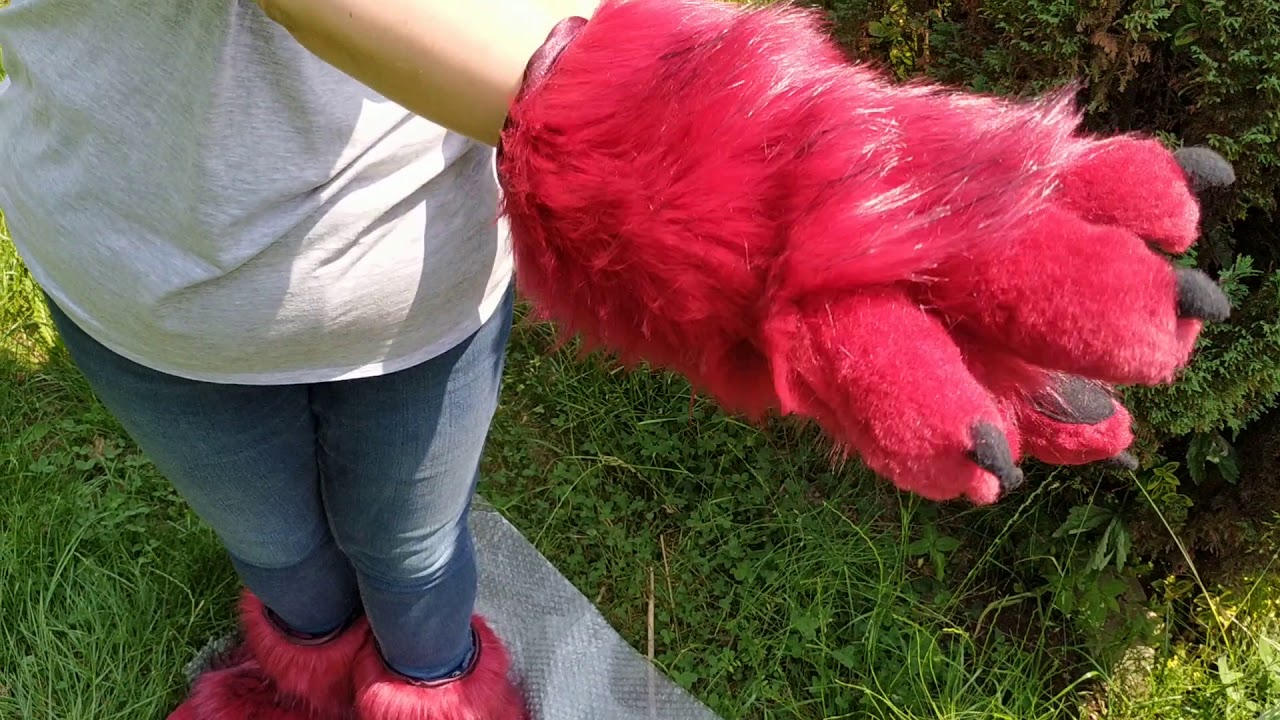 New paws