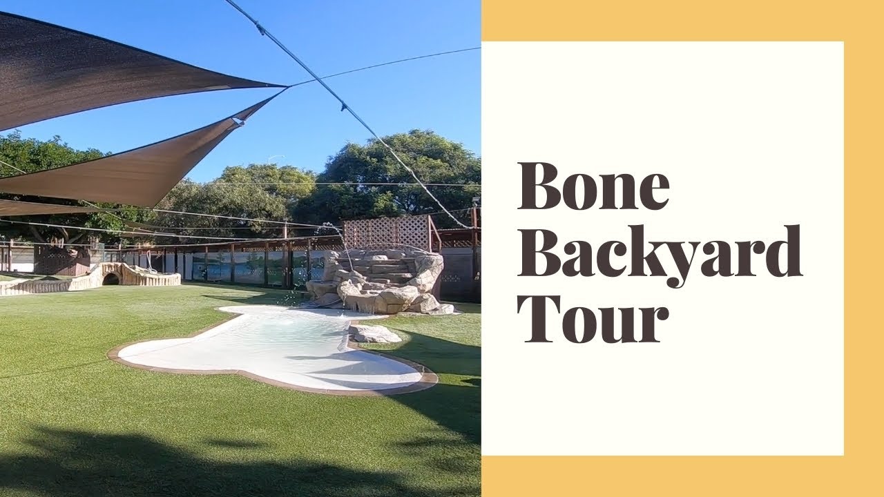 The Bone Adventure- Backyard Tour
