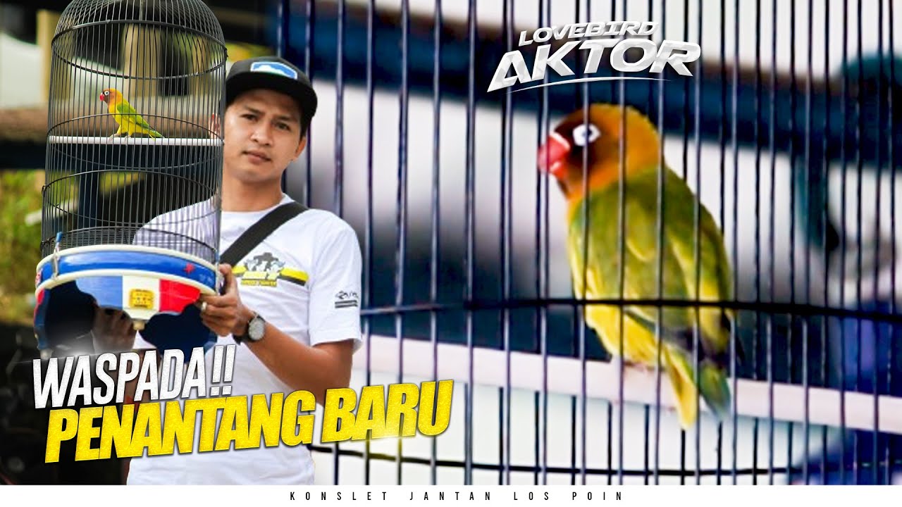 JAGOAN BARU‼️BATAS POIN MINGGIR DULU😂