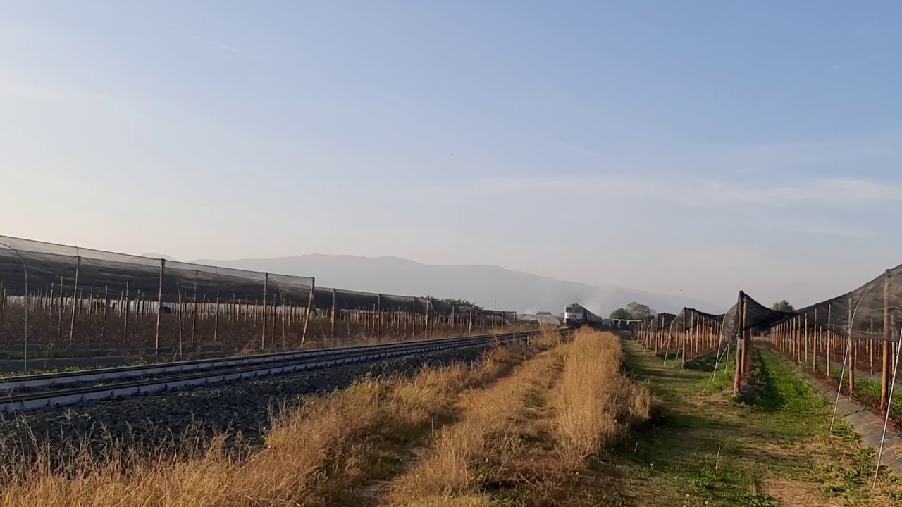 RTC D753-733 con tradotta  busca cuneo in transito nei pressi di s chiaffredo