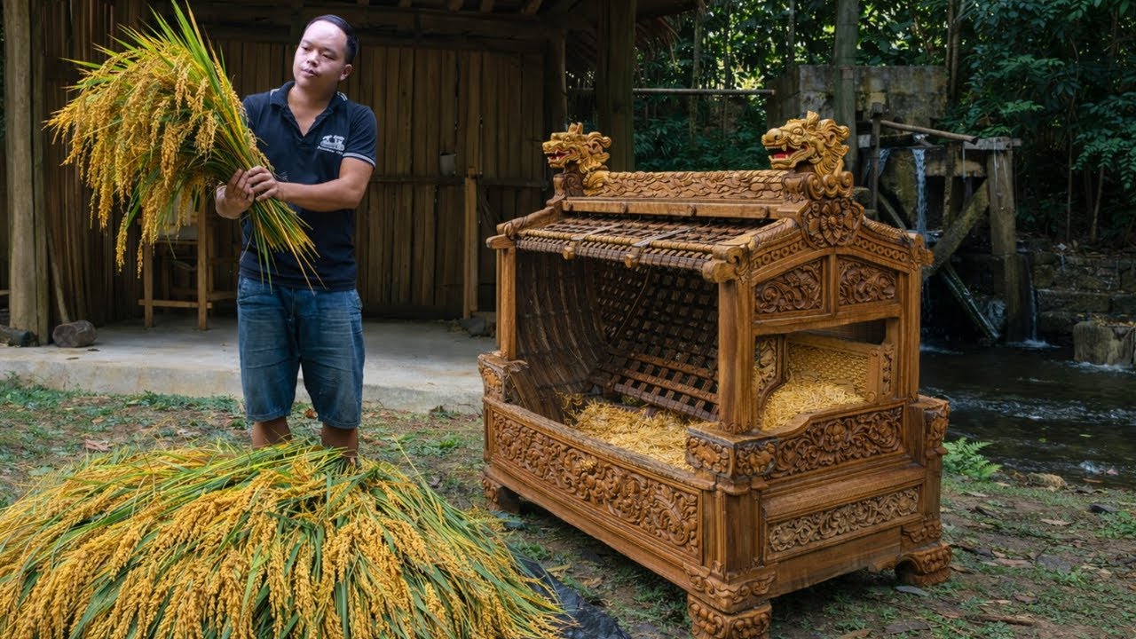 Traditional Rice Harvesting & Primitive Threshing Using Wooden Barrels