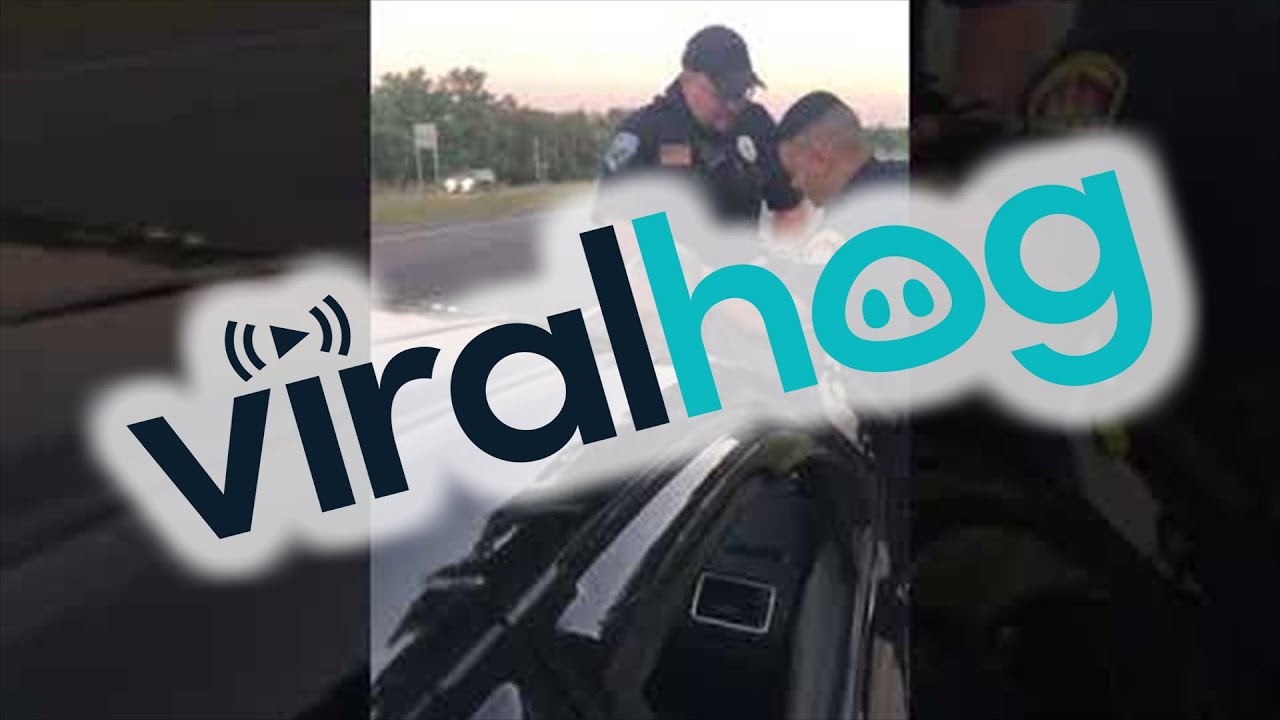 Nisswa Mayor Arrested for Involvement in Traffic Stop || ViralHog