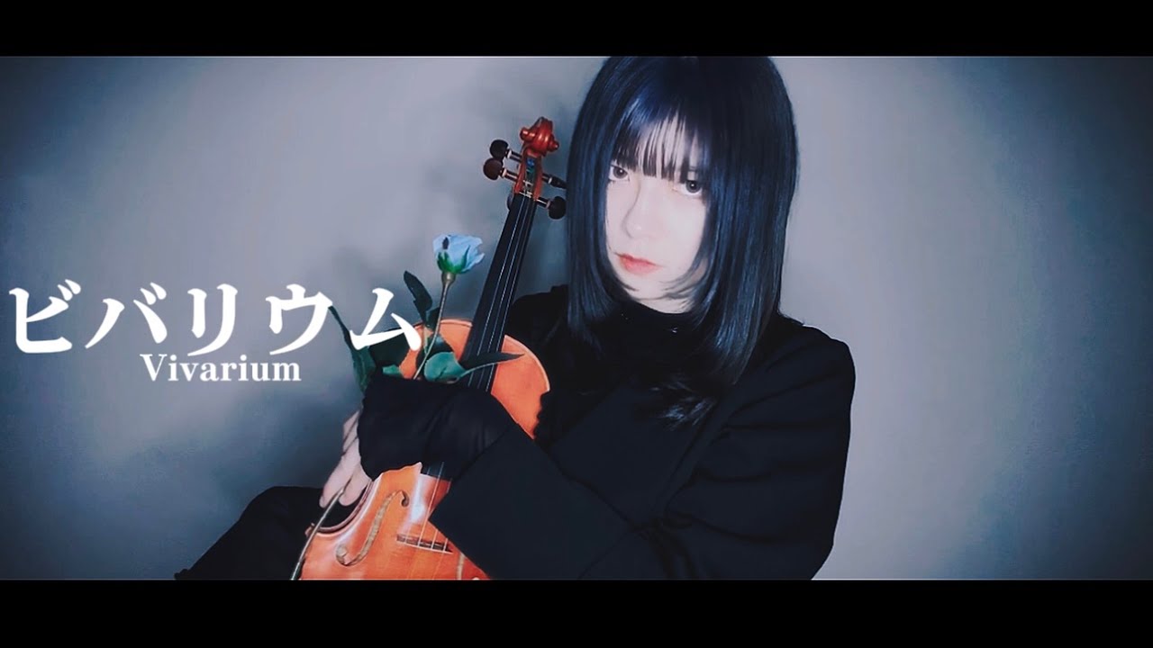 【Violin】ビバリウム （Vivarium）  |  Ado 【cover】
