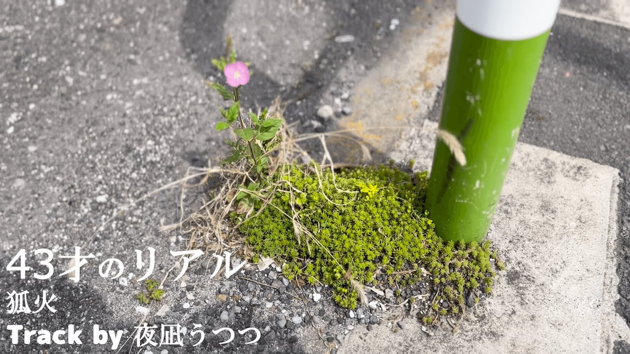 43才のリアル / 狐火  Track by 夜凪うつつ