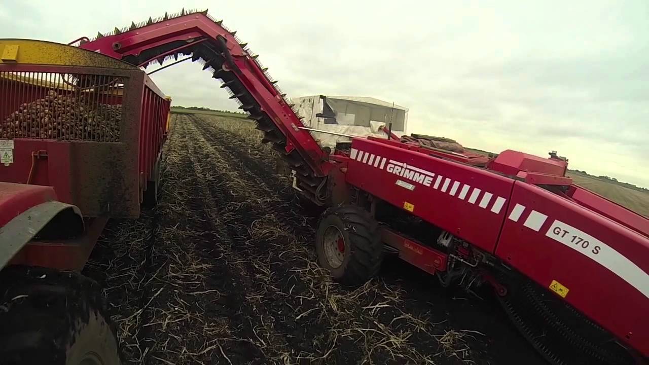 Grimme GT 170s Potato Harvest