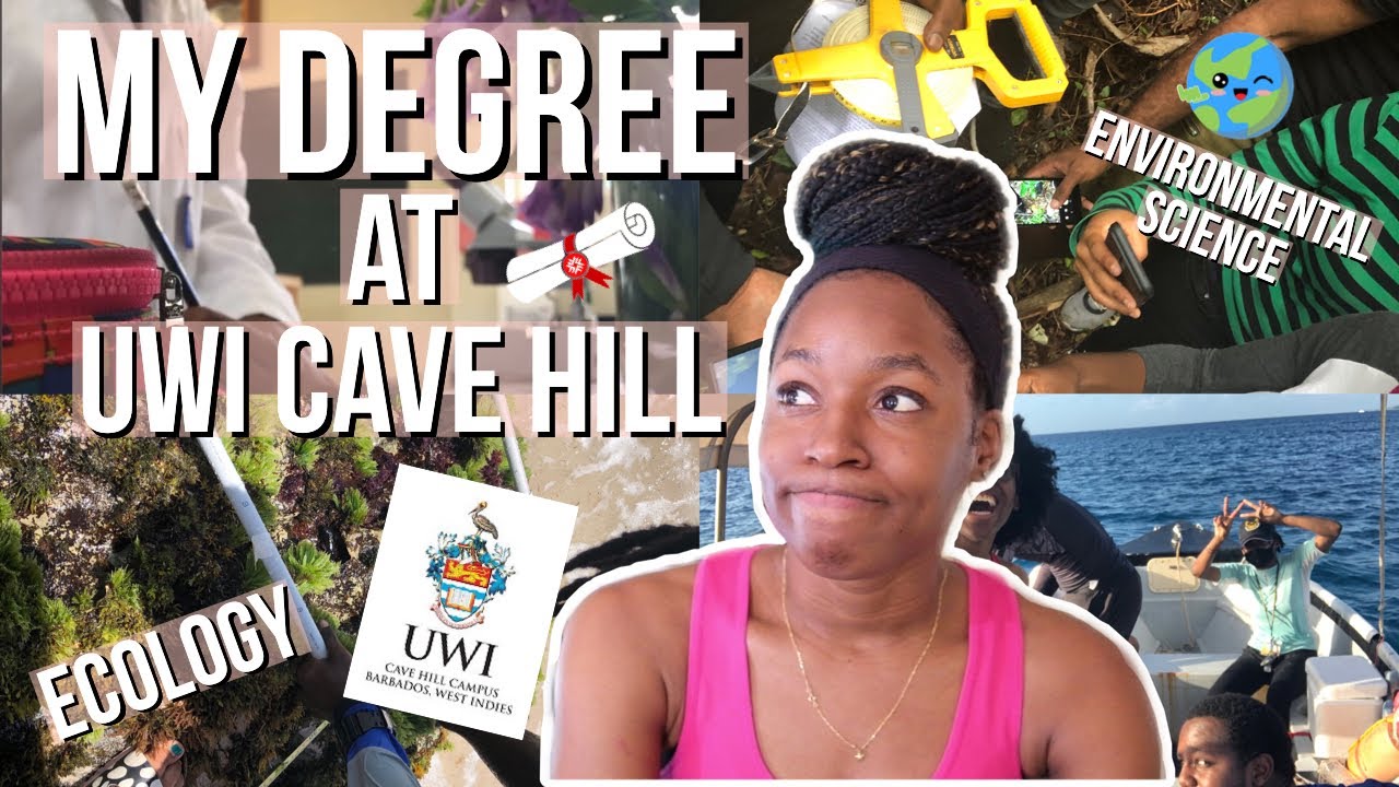 My Experience Studying at UWI Cave Hill